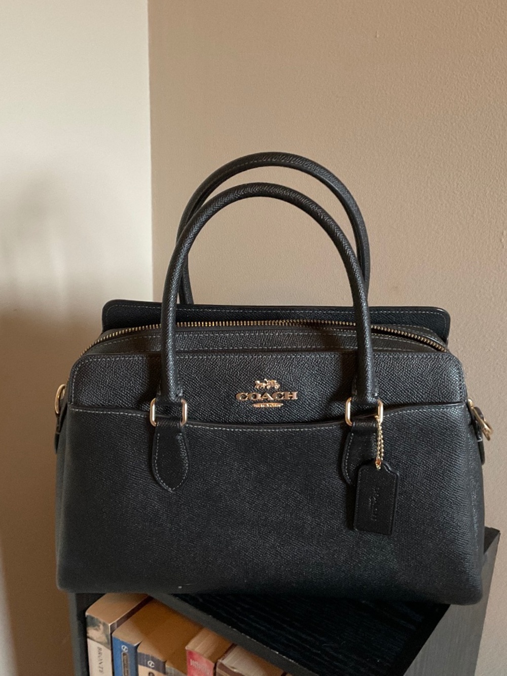 Coach Darcy Carryall Bag